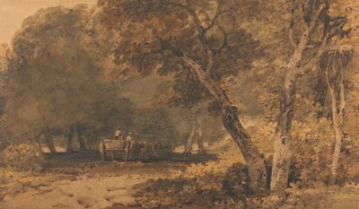Ein Waldweg von Unbekannt Unbekannt